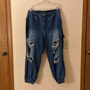 Rue21 | Plus Carpenter Jogger Jeans | 22